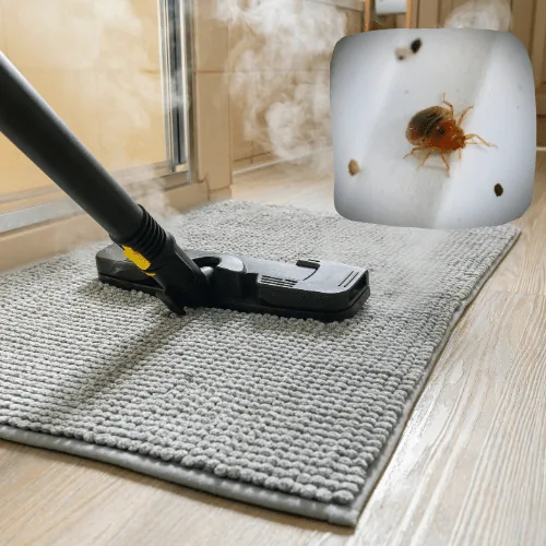 Nettoyeur vapeur-punaise-de-lit