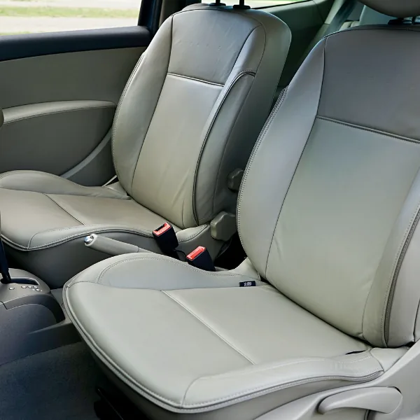 Punaises en voiture : 12 Solutions Efficaces pour s’en Débarrasser